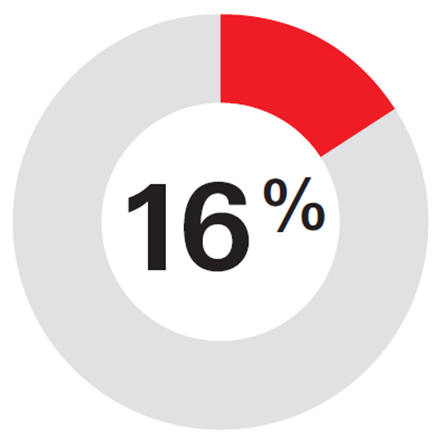 16 percent - Graph